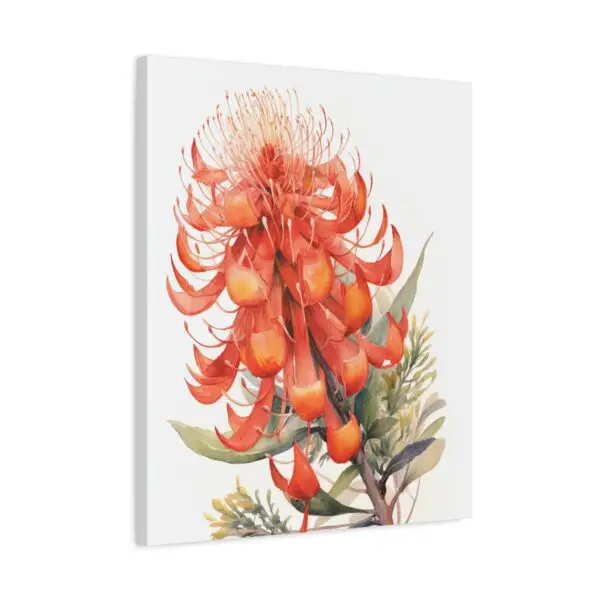 Grevillea in Bloom Standalone Watercolor Canvas Print